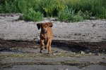 DSC_0226[1]