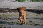 DSC_0229[1]