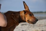 DSC_0291[1]