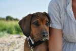 DSC_0304[1]