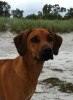 Beautiful Enzi