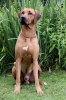 20110814 448