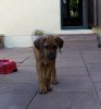 Vilja