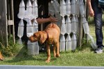 20110904 106