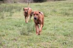 Vilho & Cenna