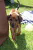 Lily