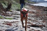 DSC_0017[1]