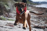 DSC_0019[2]