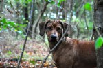DSC_0021[3]