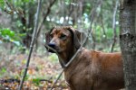DSC_0023[3]