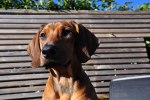 DSC_0058[3]