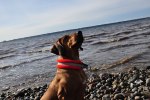 DSC_0070[1]