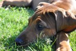 DSC_0072[1]