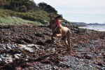 DSC_0138[1]