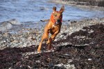 DSC_0192[2]