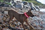 DSC_0203[1]