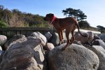 DSC_0257[1]