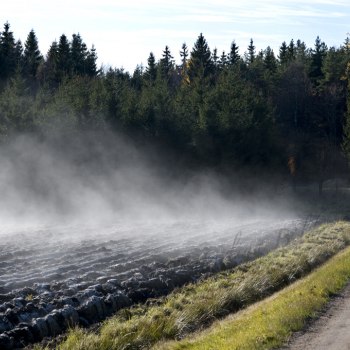 Vår i Snippetorp 8967