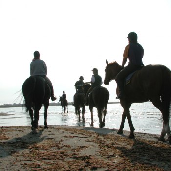 Ridning Apelviken 0260
