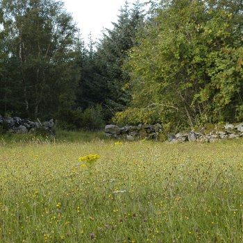 Sommaräng 0092