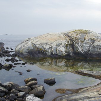 Före åskan, Nordkoster
