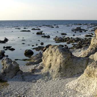 Gotland rauk
