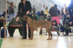 080420_vasteras_8457