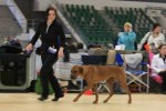 080420_vasteras_8461