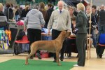 080420_vasteras_8535
