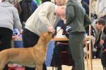 080420_vasteras_8537