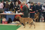 080420_vasteras_8579