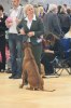 080420_vasteras_8607