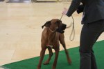 080420_vasteras_8615