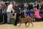 080420_vasteras_8640