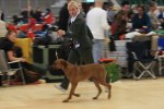080420_vasteras_8642