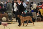 080420_vasteras_8645
