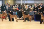 080420_vasteras_8647