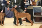 080420_vasteras_8652