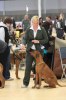 080420_vasteras_8654