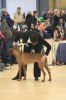 080420_vasteras_8659