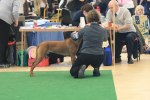 080420_vasteras_8661