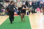 080420_vasteras_8663