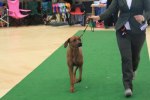 080420_vasteras_8679