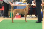 080420_vasteras_8683