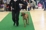 080420_vasteras_8688