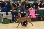 080420_vasteras_8693