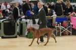 080420_vasteras_8695