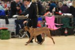 080420_vasteras_8711