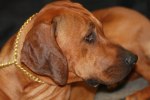 080420_vasteras_8742