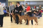 080420_vasteras_8814